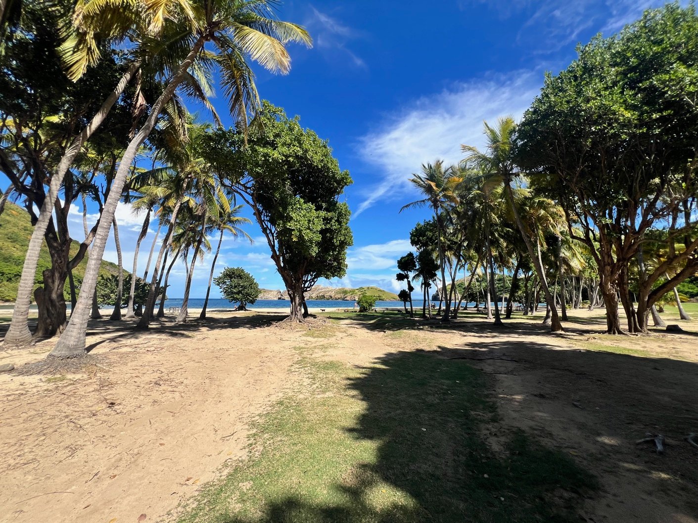 Plage de Pompierre aux Saintes avec sable doré, cocotiers et mer turquoise