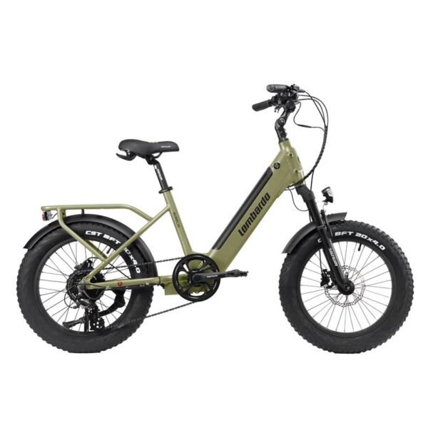 FAT BIKE AURELIA