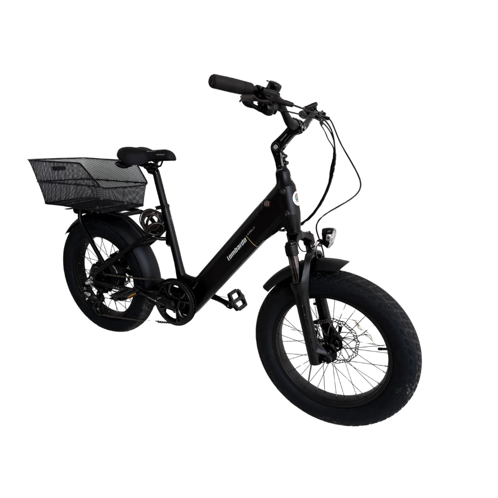 location vélo les Saintes